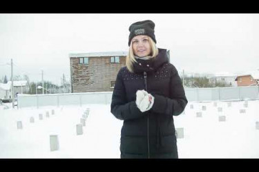 Составные сваи зимой.