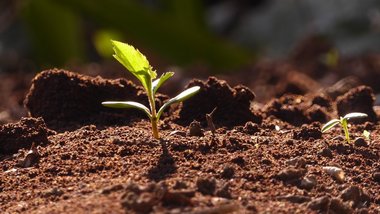 Что такое непучинистый грунт, его особенности