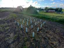 фундамент на глине