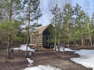 Фундамент под деревянный дом (с. Желтые пески, Липецкий район)