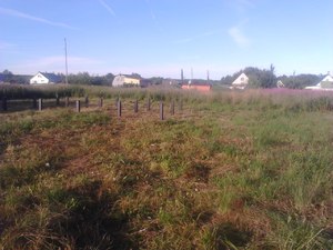 Фундамент для каркасного дома в деревне Суйсарь