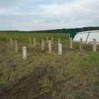 Фундамент на ж/б сваях для дома во Владимирской области д. Карелы от компании 35FS