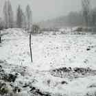 Фундамент на забивных ж/б сваях для дома из бревна в деревне Аньялово, Всеволожский район Ленинградской области от компании 35FS