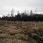 Фундамент на забивных ж/б сваях для дома из бруса в деревне Лезье, Кировский район Ленинградской области от компании 35FS