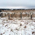 Фундамент на забивных ж/б сваях для дома из профилированного бруса в деревне Черногубово Тверской области от компании 35FS