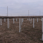 Фундамент под дом из бруса в д. Частая Дубрава, Липецкий район