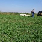 Фундамент на забивных ж/б сваях с бетонным ростверком для дома из газобетона в деревне Частая Дубрава Липецкой области от компании 35FS