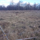 Свайный жб фундамент в Липецкой области (Добровский район, с.Преображеновка, КП "Возрождение")