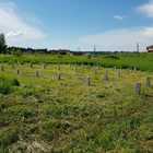 Фундамент на забивных ж/б сваях с бетонным ростверком для дома из бруса с террасой в селе Корнилово Томской области от компании 35FS