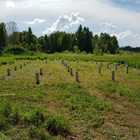 Фундамент на забивных ж/б сваях с бетонным ростверком для дома из бруса с террасой в селе Корнилово Томской области от компании 35FS