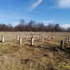 Свайный жб фундамент в Липецкой области (Добровский район, с.Преображеновка, КП "Возрождение")