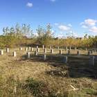 Фундамент на ж/б сваях для кирпичного дома в Липецкой области от компании 35FS