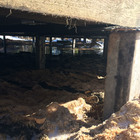 Фундамент на забивных ж/б сваях для деревянного дома в доме отдыха Романов лес поселок Лунево Костромская область от компании 35FS