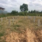 Фундамент на забивных ж/б сваях для деревянного каркасного дома в поселке Лунево Костромской области от компании 35FS