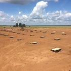 Фундамент на забивных ж/б сваях для молочно-товарной фермы в деревне Новая Бия, Удмуртская республика от компании 35FS