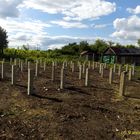 Фундамент на забивных ж/б сваях для дома из бруса в селе Дубовое, город Чаплыгин Липецкой области от компании 35FS