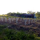 Фундамент на забивных ж/б сваях для дома из бруса в селе Дубовое, город Чаплыгин Липецкой области от компании 35FS