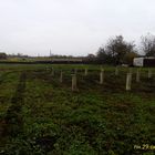 Фундамент на забивных ж/б сваях с обвязкой брусом для дома из бруса с верандой в селе Сторожевое, Липецк от компании 35FS