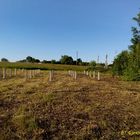 Фундамент на забивных ж/б сваях для дома из бруса 200х200, с мансардой в селе Дубовое, город Чаплыгин