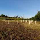 Фундамент на забивных ж/б сваях для дома из бруса 200х200, с мансардой в селе Дубовое, город Чаплыгин