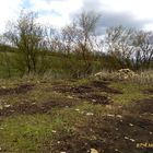 Свайный ЖБ фундамент под дом из бруса