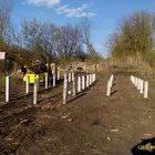 Свайный ЖБ фундамент под дом из бруса