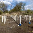 Свайный ЖБ фундамент под дом из бруса