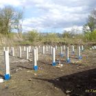 Свайный ЖБ фундамент под дом из бруса