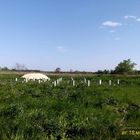 Фундамент под каркасный дом