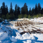 Фундамент деревянного дома и бани в посёлке Зелёный Яр