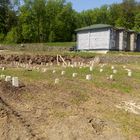 Фундамент на забивных ж/б сваях для двухэтажного бревенчатого сруба в селе Вербилово Липецкой области от компании 35FS